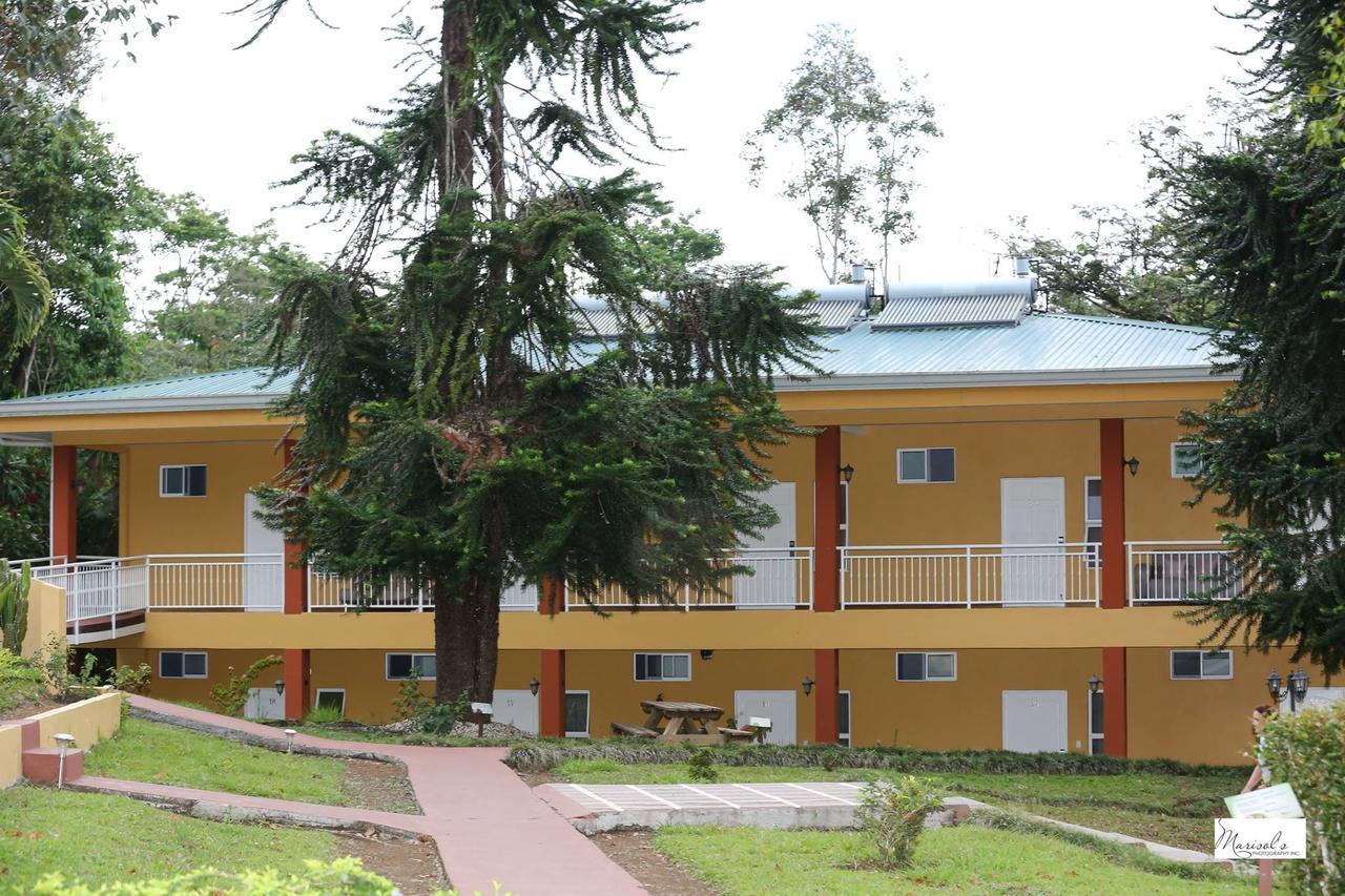 Hotel Villa Florencia Τουριάλμπα Εξωτερικό φωτογραφία
